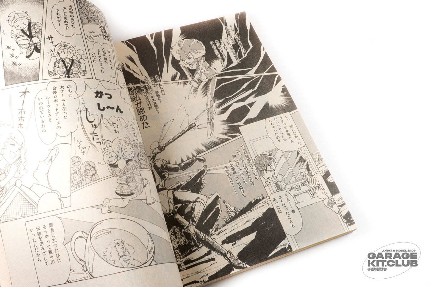 The Motion Comic, Vol. 6