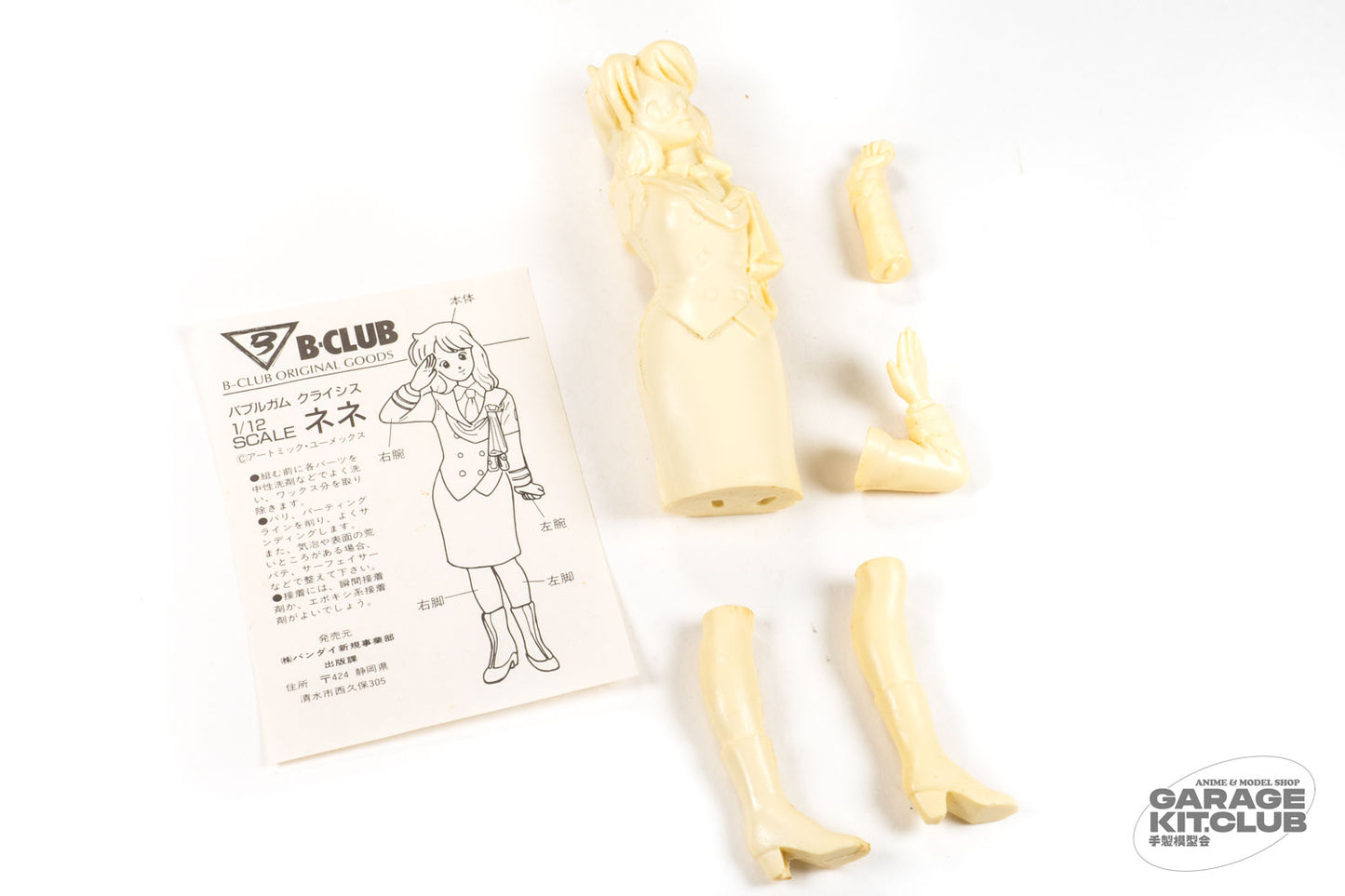 Bubblegum Crisis Nene Resin Kit