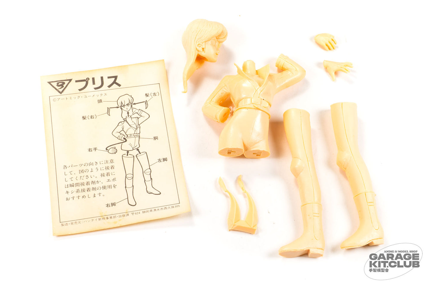 Bubblegum Crisis Priss Resin Kit