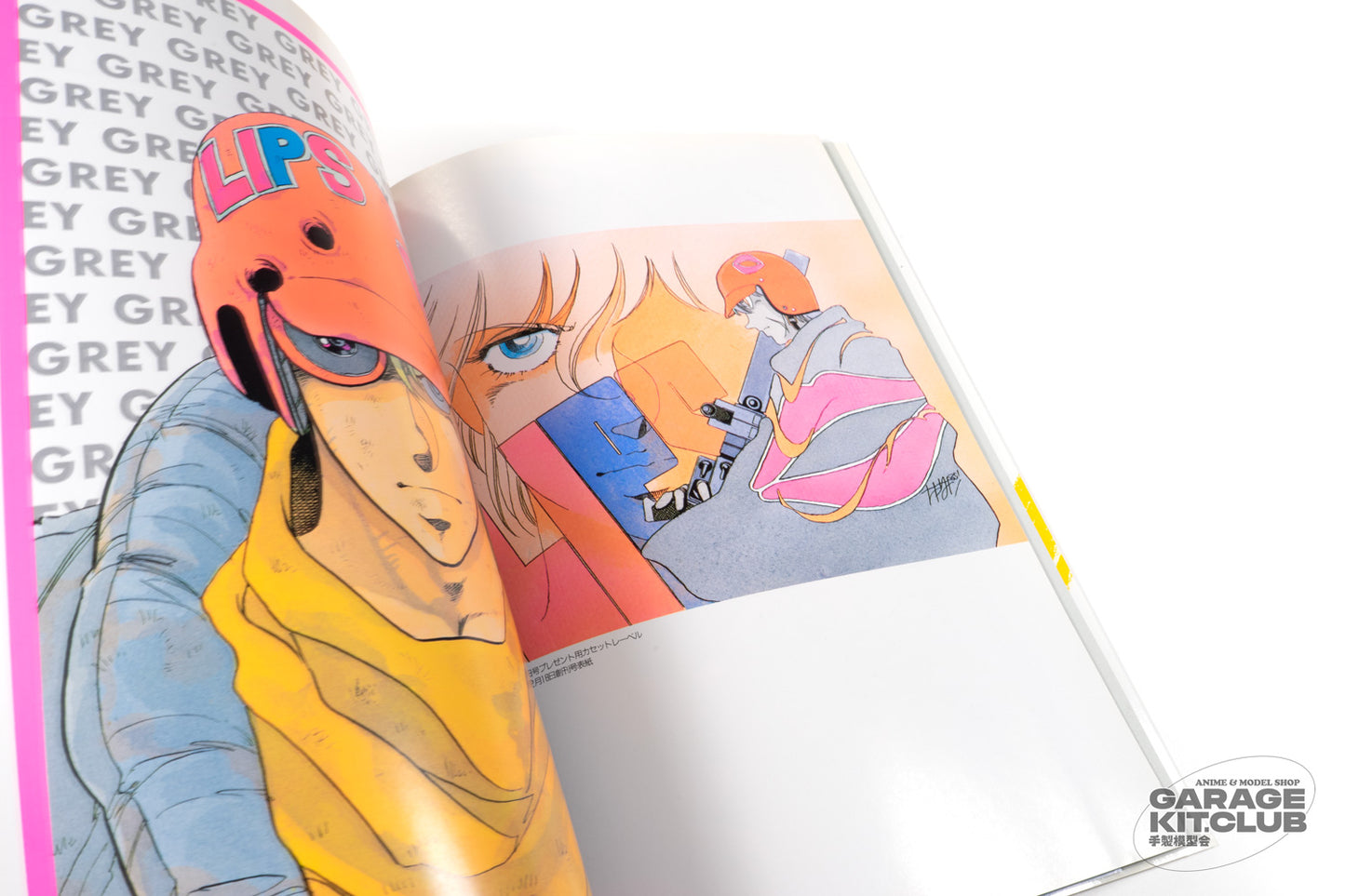 Grey Illustrations Yoshihisa Tagami Roman Album Special Artbook