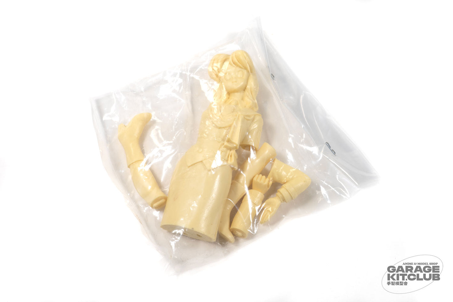 Bubblegum Crisis Nene Resin Kit