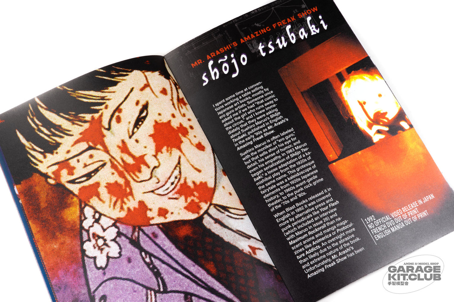 Demon Zine Shinjuku: Anime Horror in the Age of Video