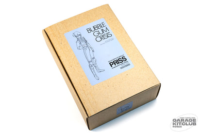 Bubblegum Crisis Priss Resin Kit