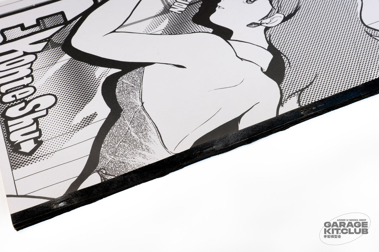 Daicon IV Ekonte Shu Storyboard Book