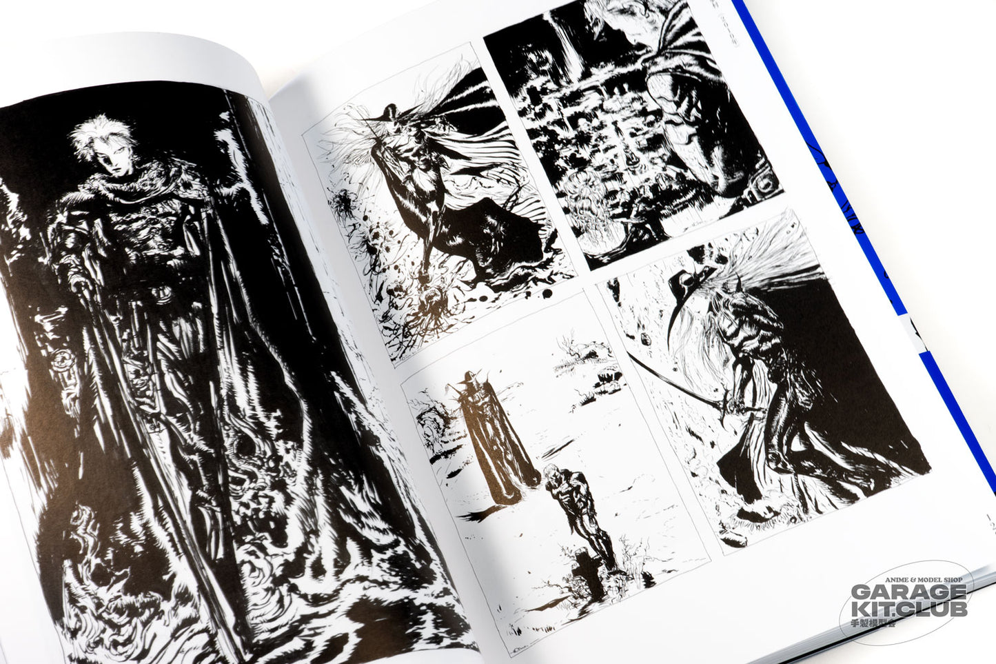 Vampire Hunter D Complete Art Collection [Yoshitaka Amano]