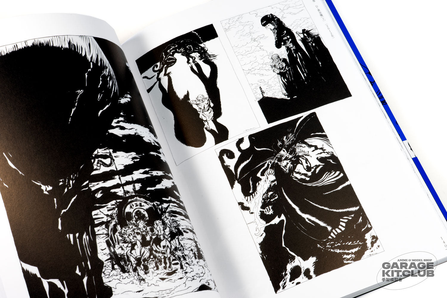 Vampire Hunter D Complete Art Collection [Yoshitaka Amano