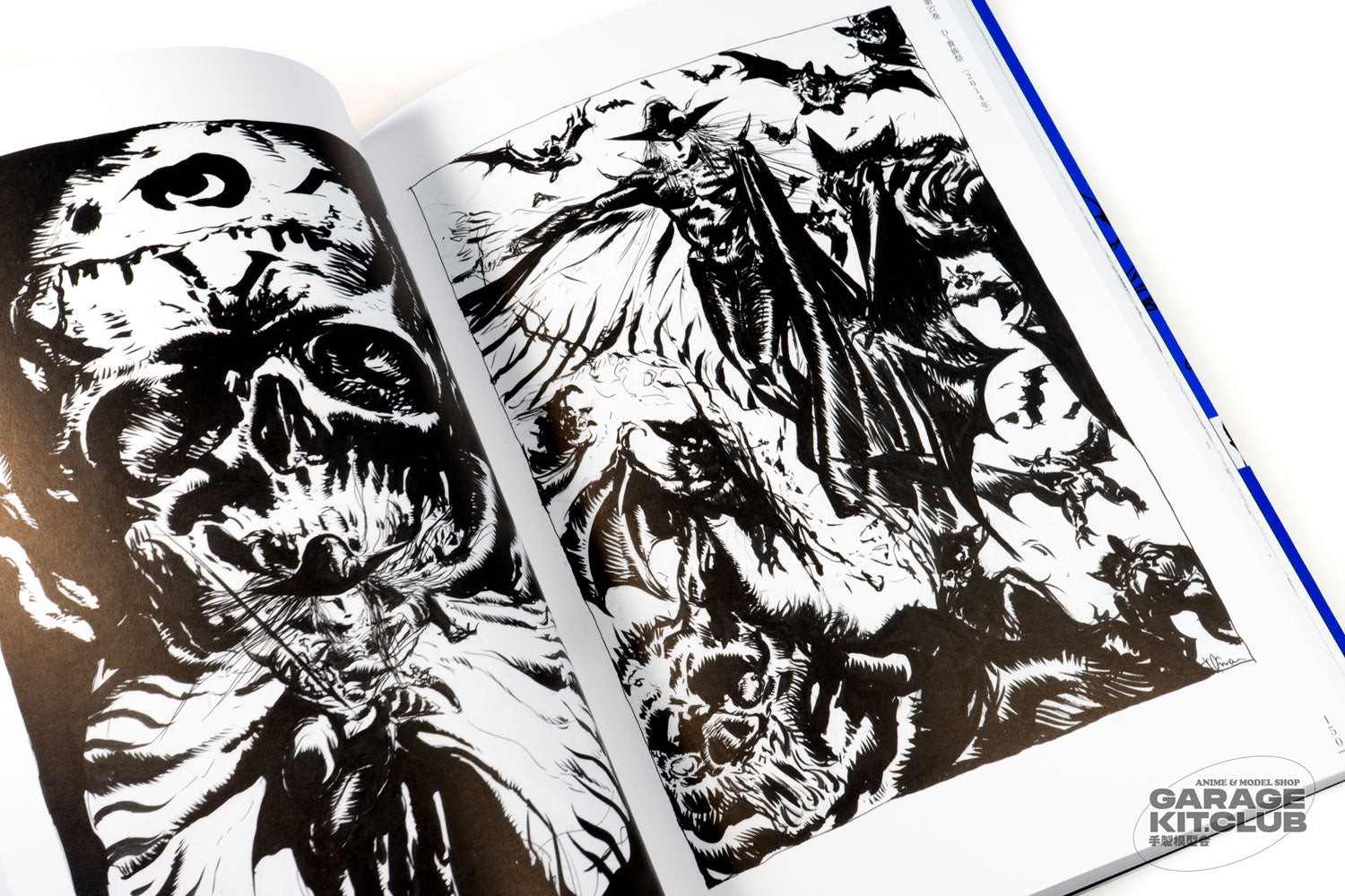 Vampire Hunter D Complete Art Collection [Yoshitaka Amano
