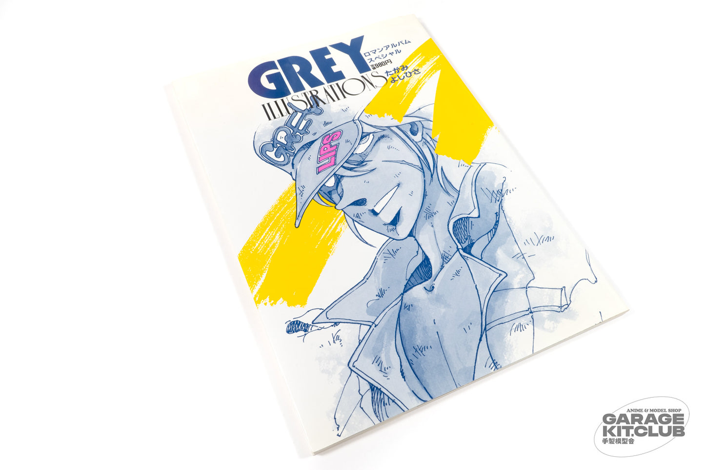 Grey Illustrations Yoshihisa Tagami Roman Album Special Artbook