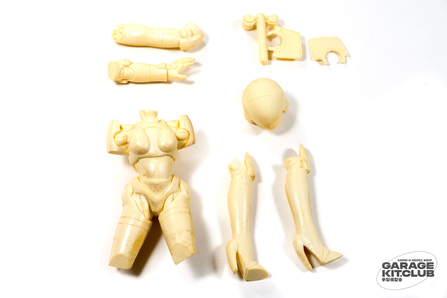 Bubblegum Crisis Linna Hard Suit Resin Kit