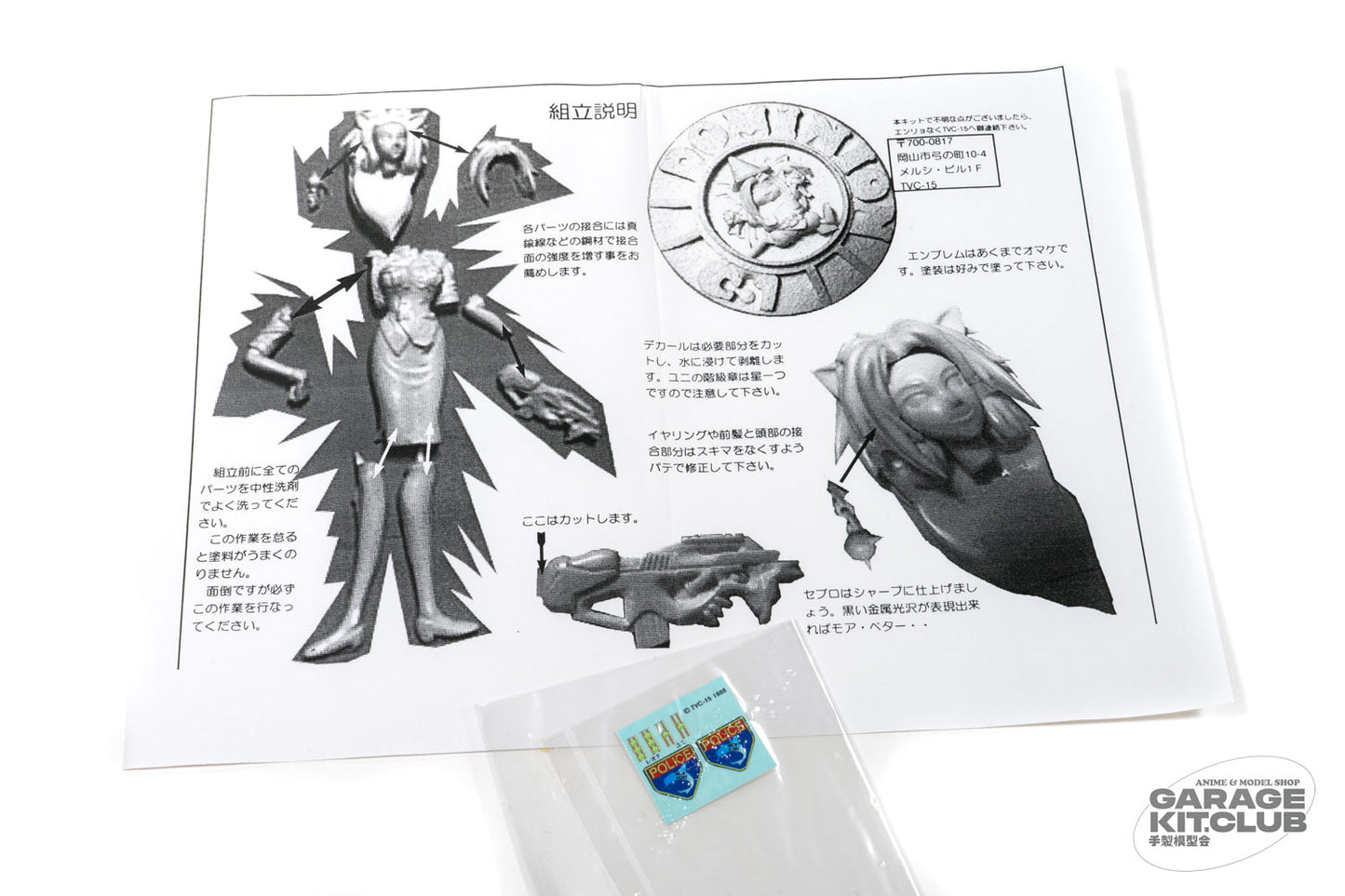 Dominion Tank Police Anna Resin Kit