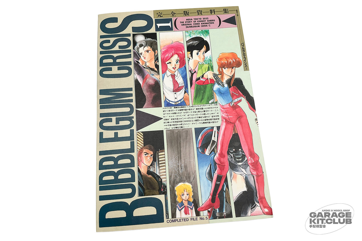 Completed File No. 5 Bubblegum Crisis 1